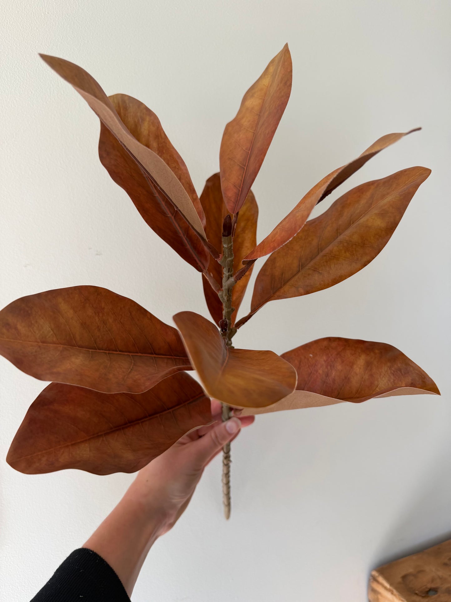 Brown Magnolia Leaf Spray- 22"