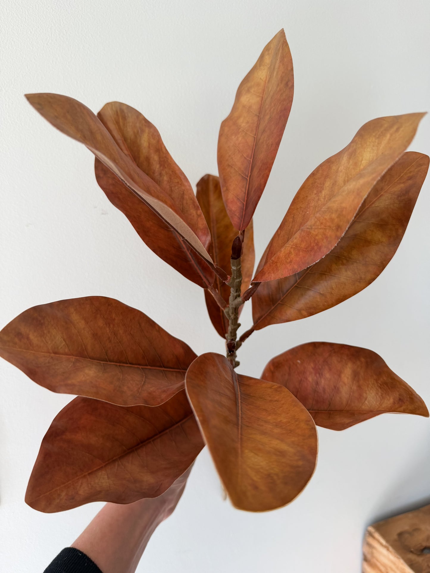 Brown Magnolia Leaf Spray- 22"