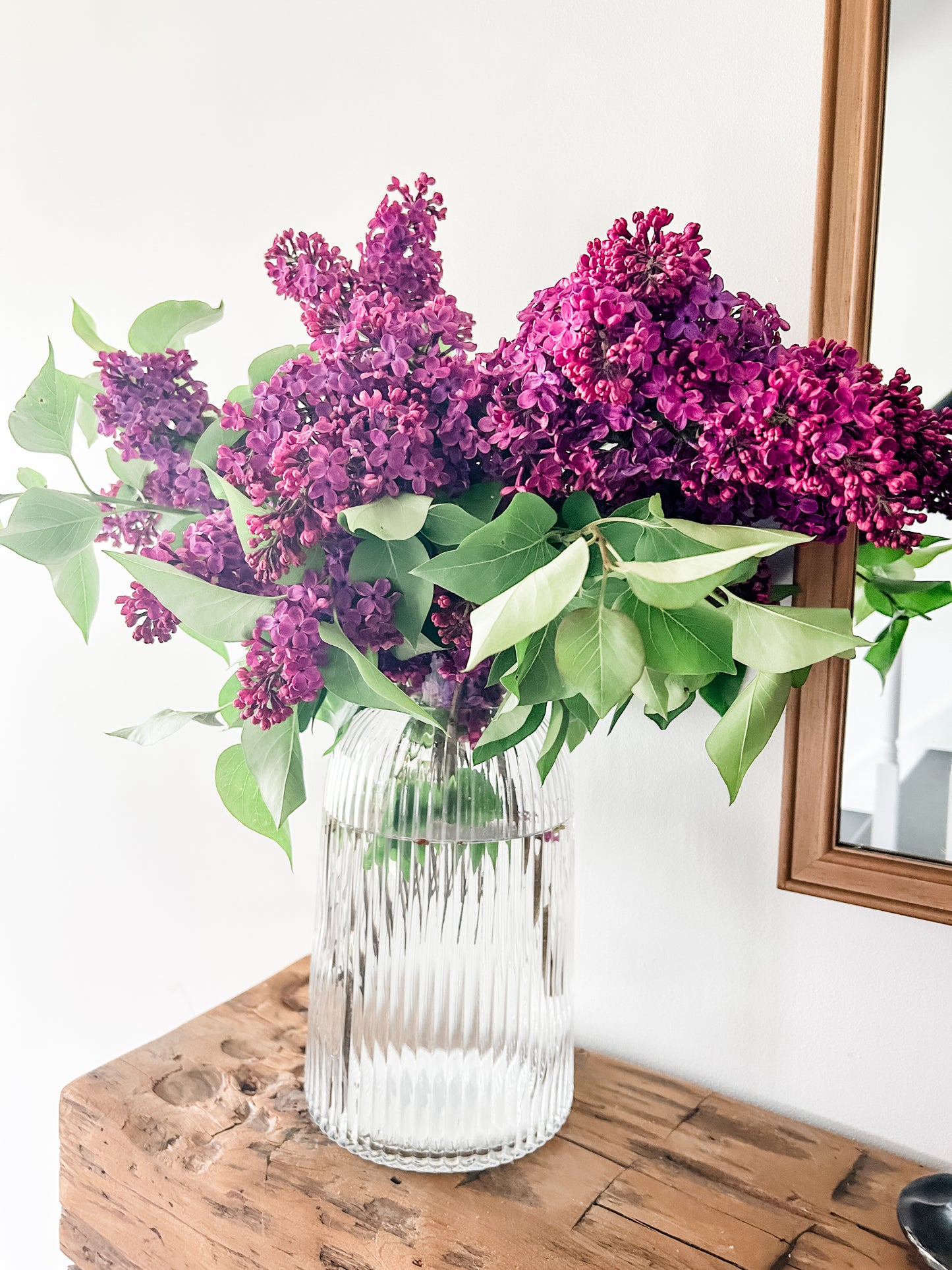 Samantha Ribbed Apothecary Vase