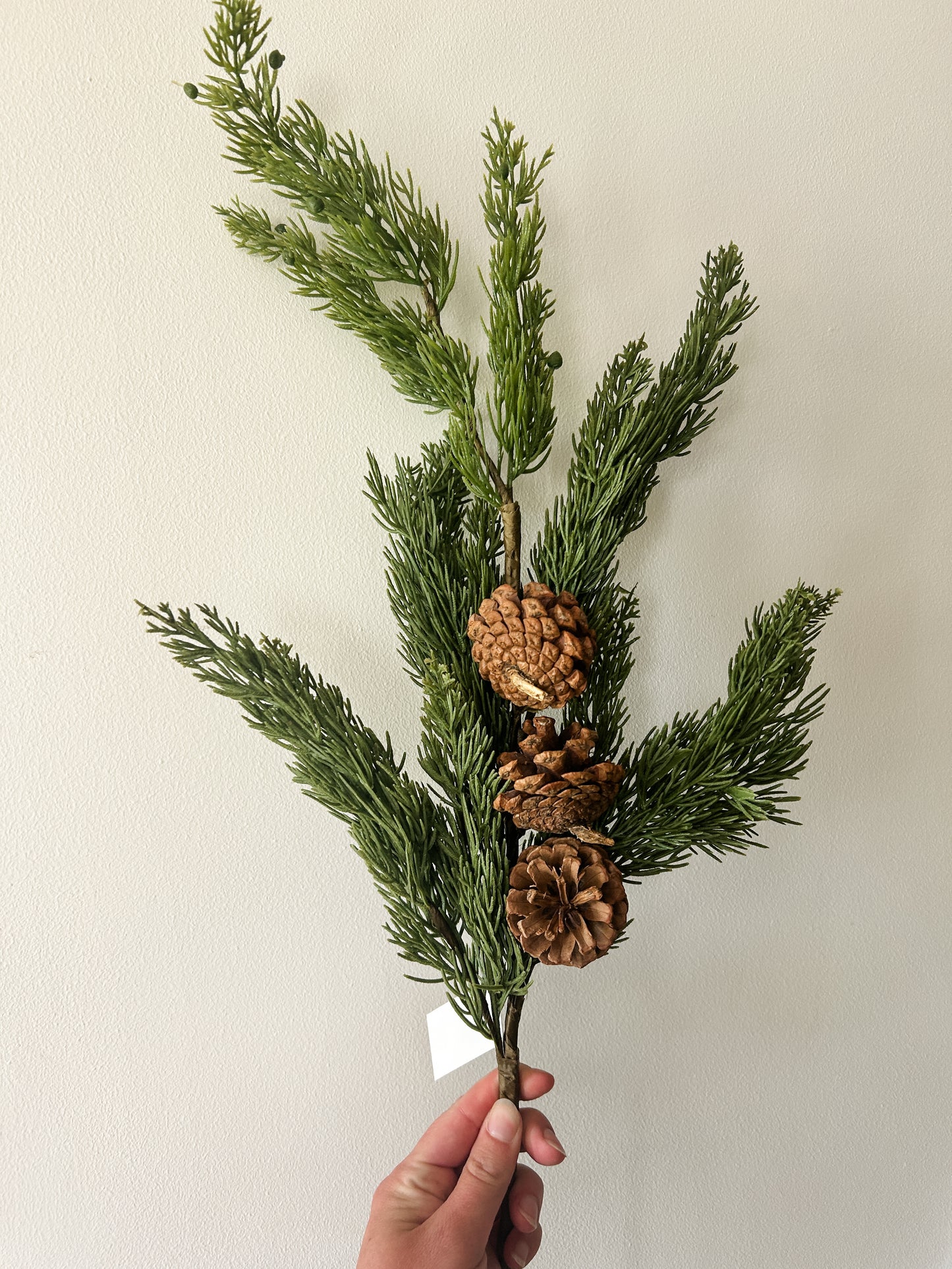 31" Pinecone & Ping Spray