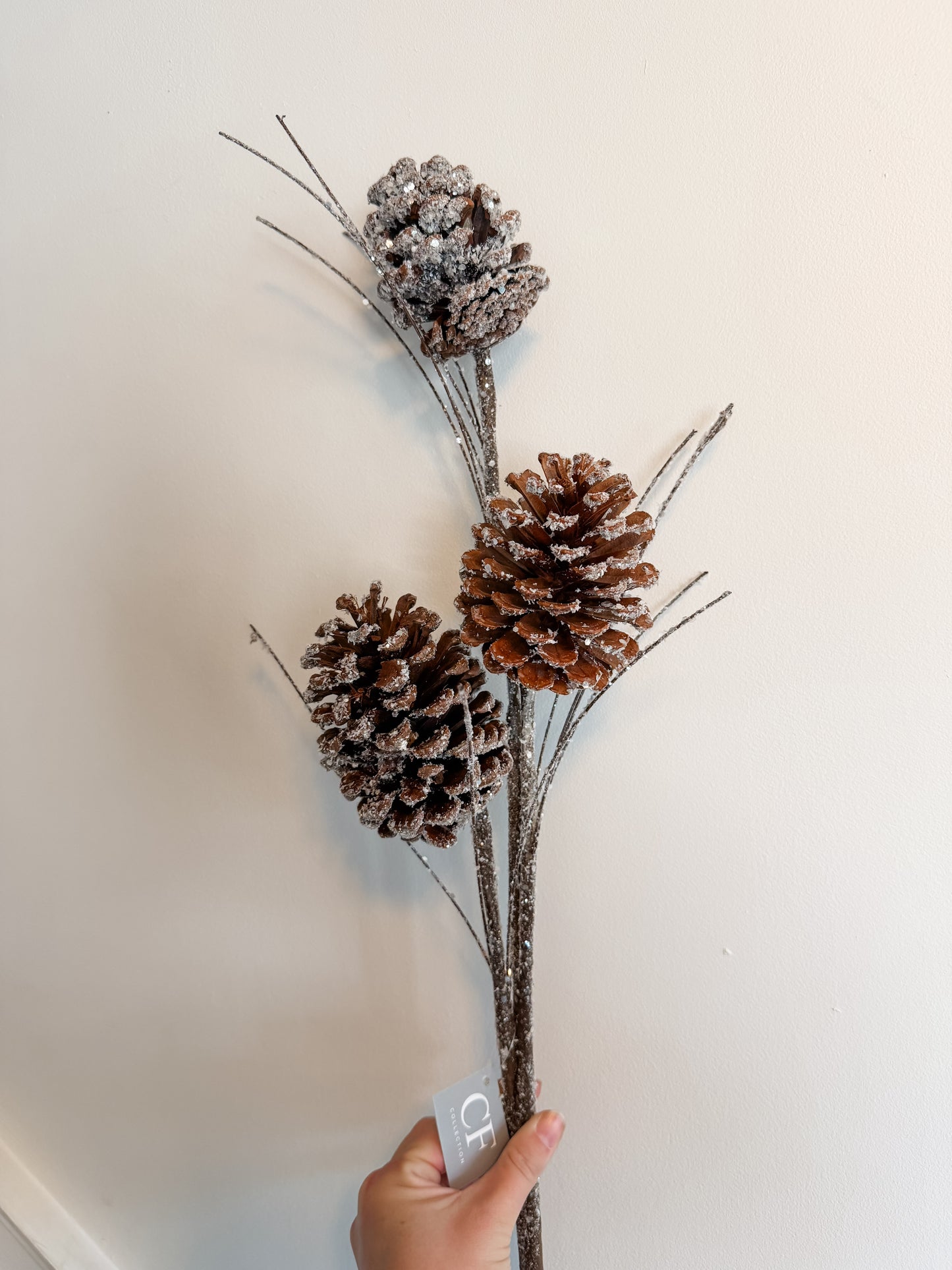 Large Pinecone Glitter Stems