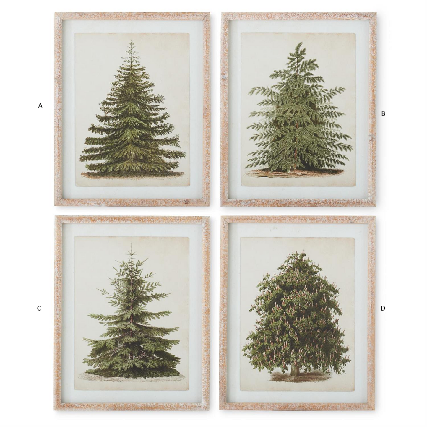 Natural Carved Wood Framed Pine Tree Prints