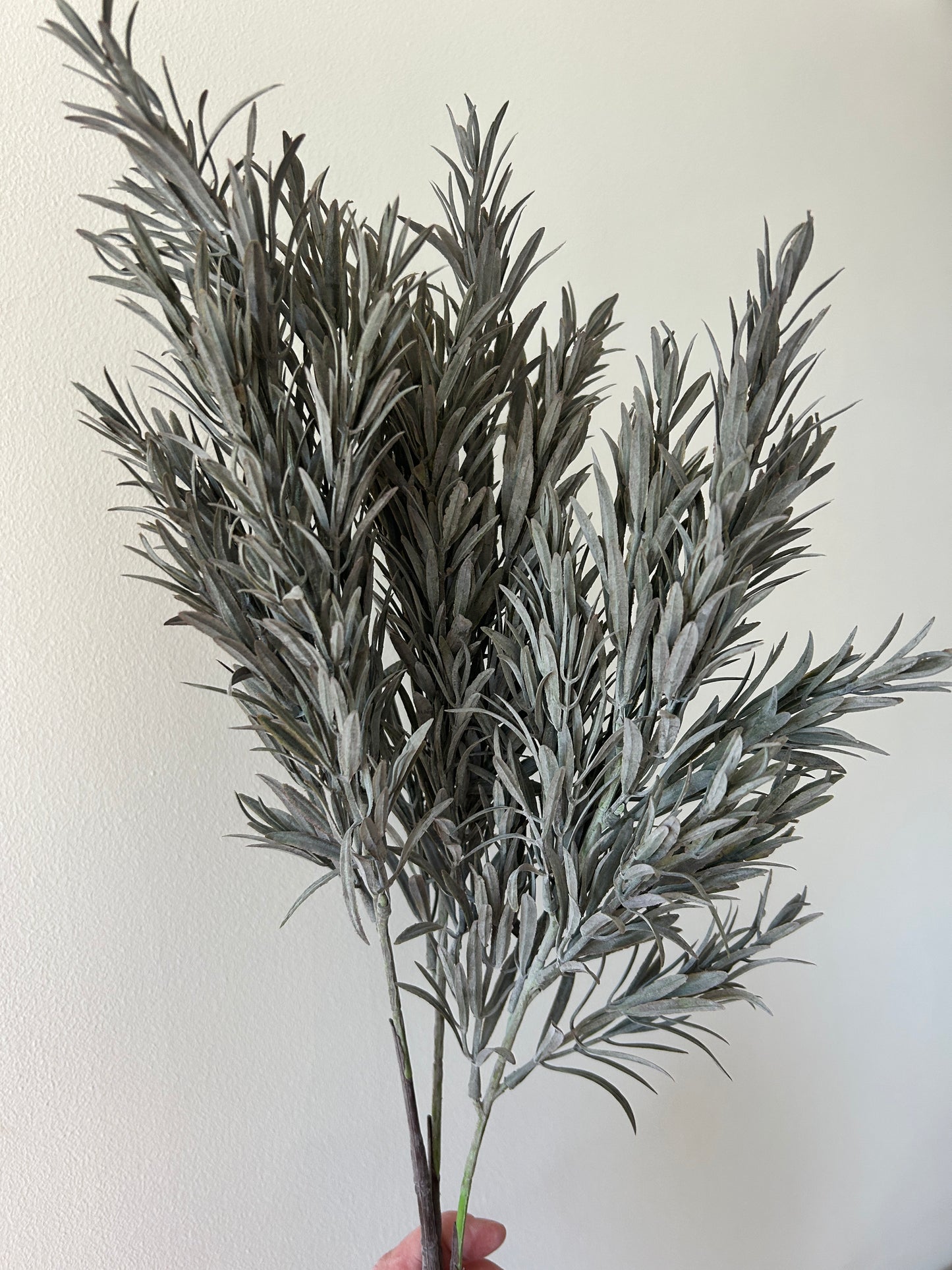 Dusty Sage Honey Grass Spray