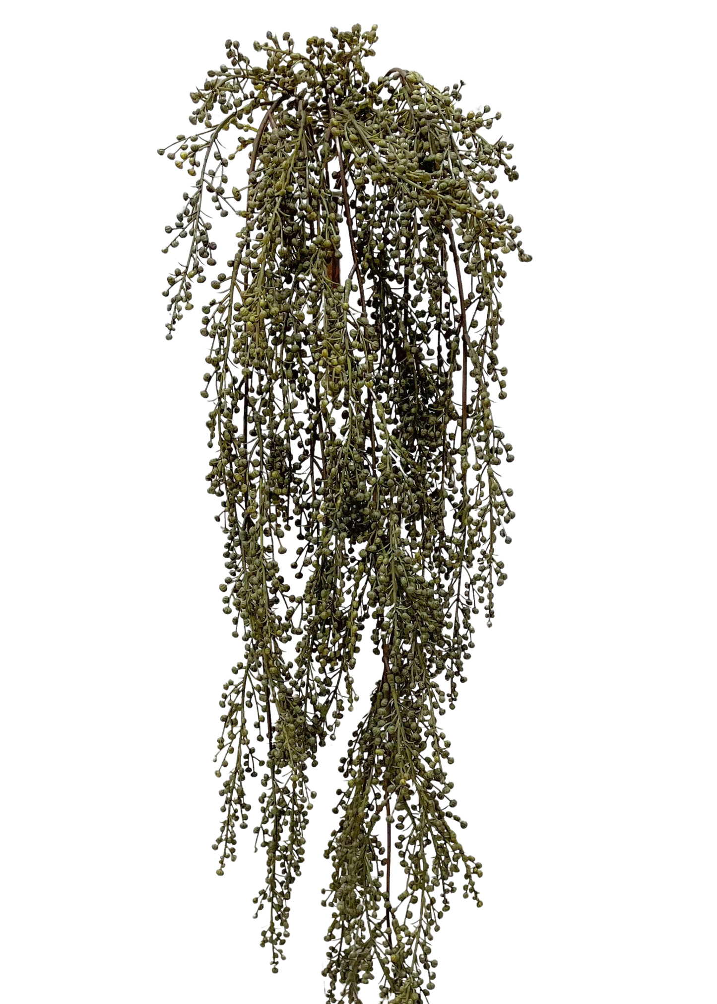 Hanging Pepperberries Vine