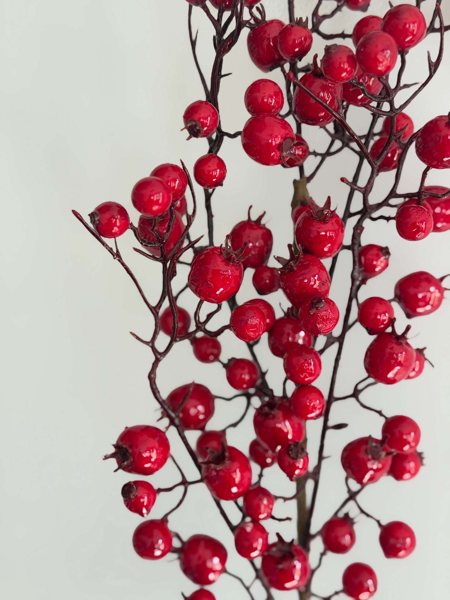 Outdoor Resistant Red Berry Spray