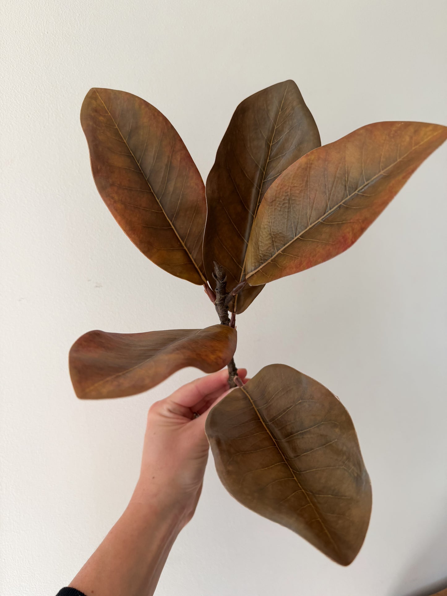 Olive Brown Magnolia Spray- 18"