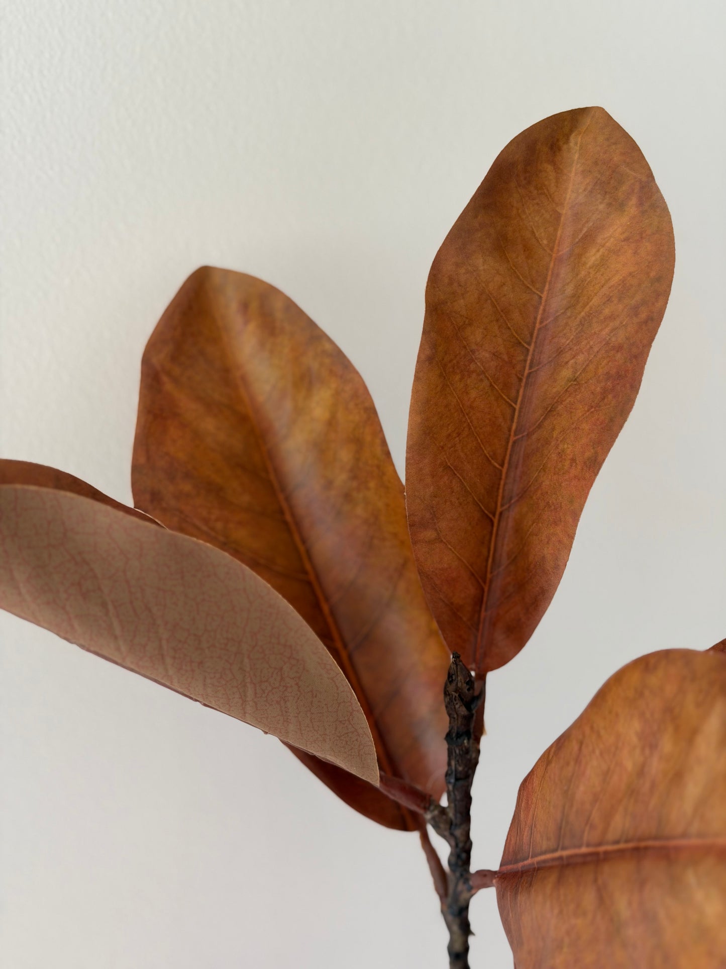 Brown Magnolia Spray- 18"
