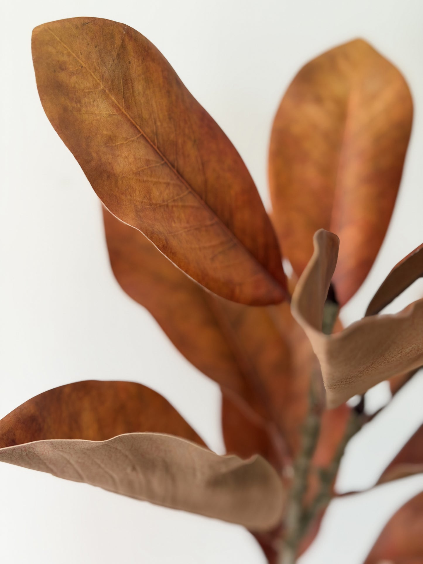Brown Magnolia Leaf Spray- 22"
