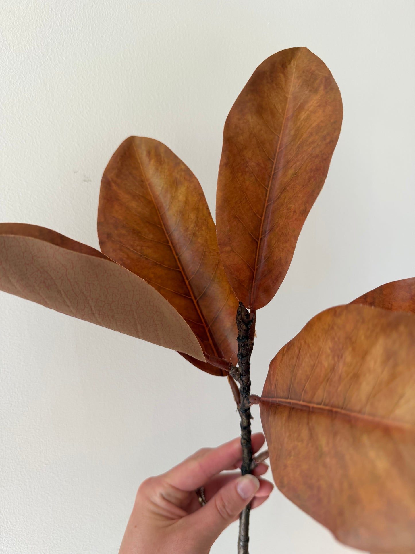 Brown Magnolia Spray- 18"