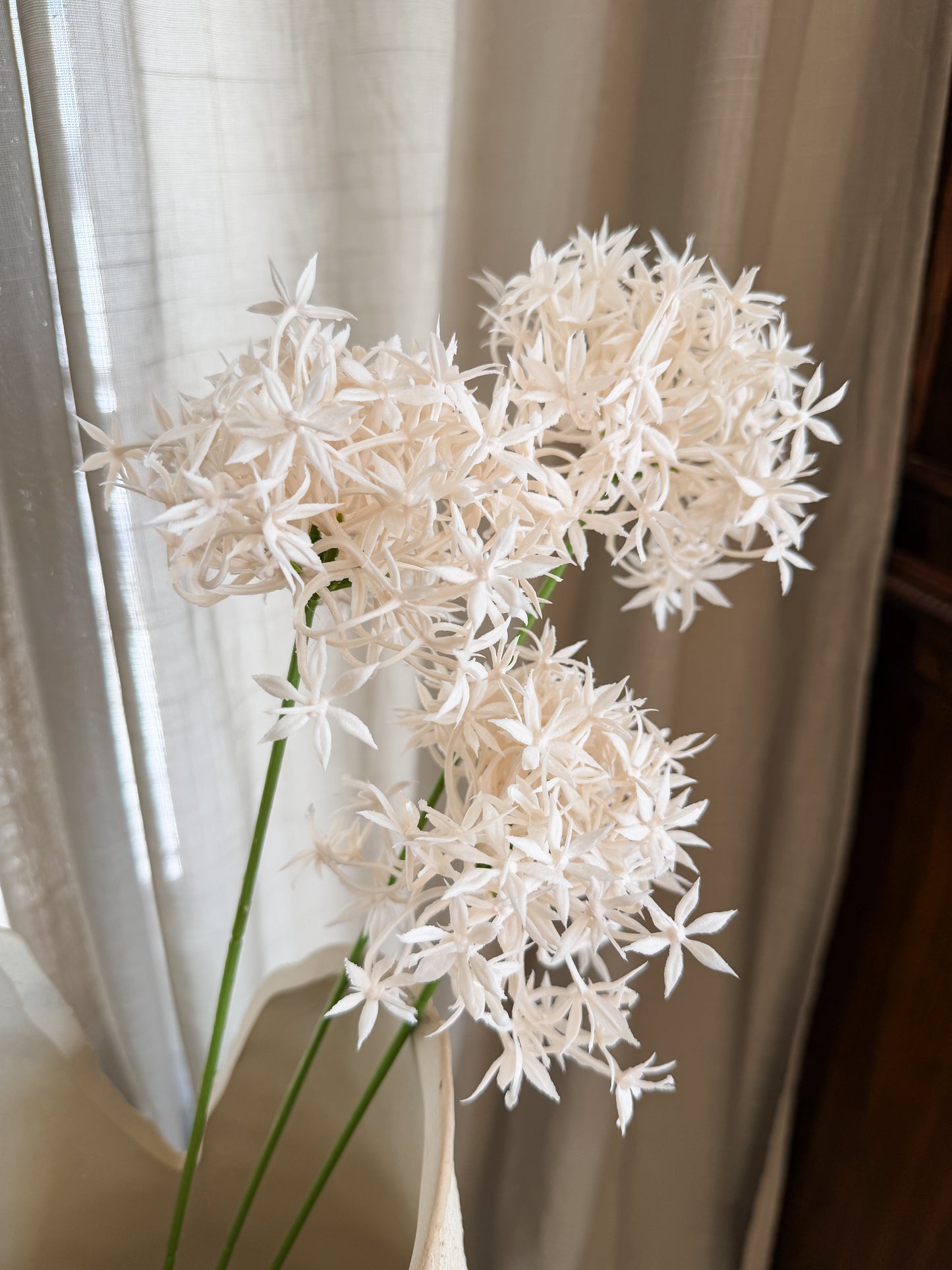 Champagne Allium Floral Stem