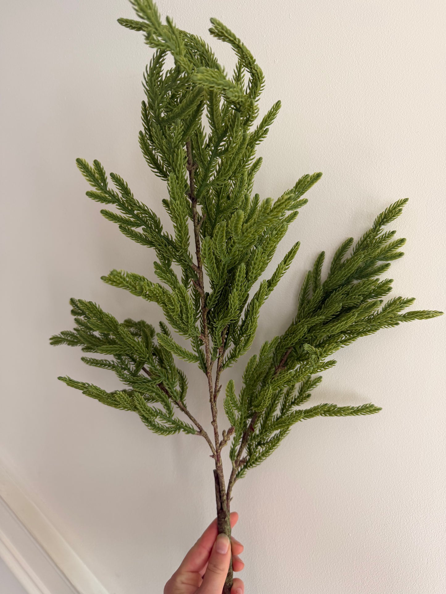 Real Touch Norfolk Island Pine Spray- 34"