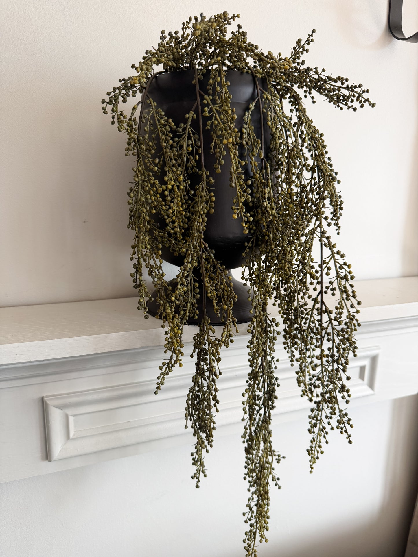 Hanging Pepperberries Vine