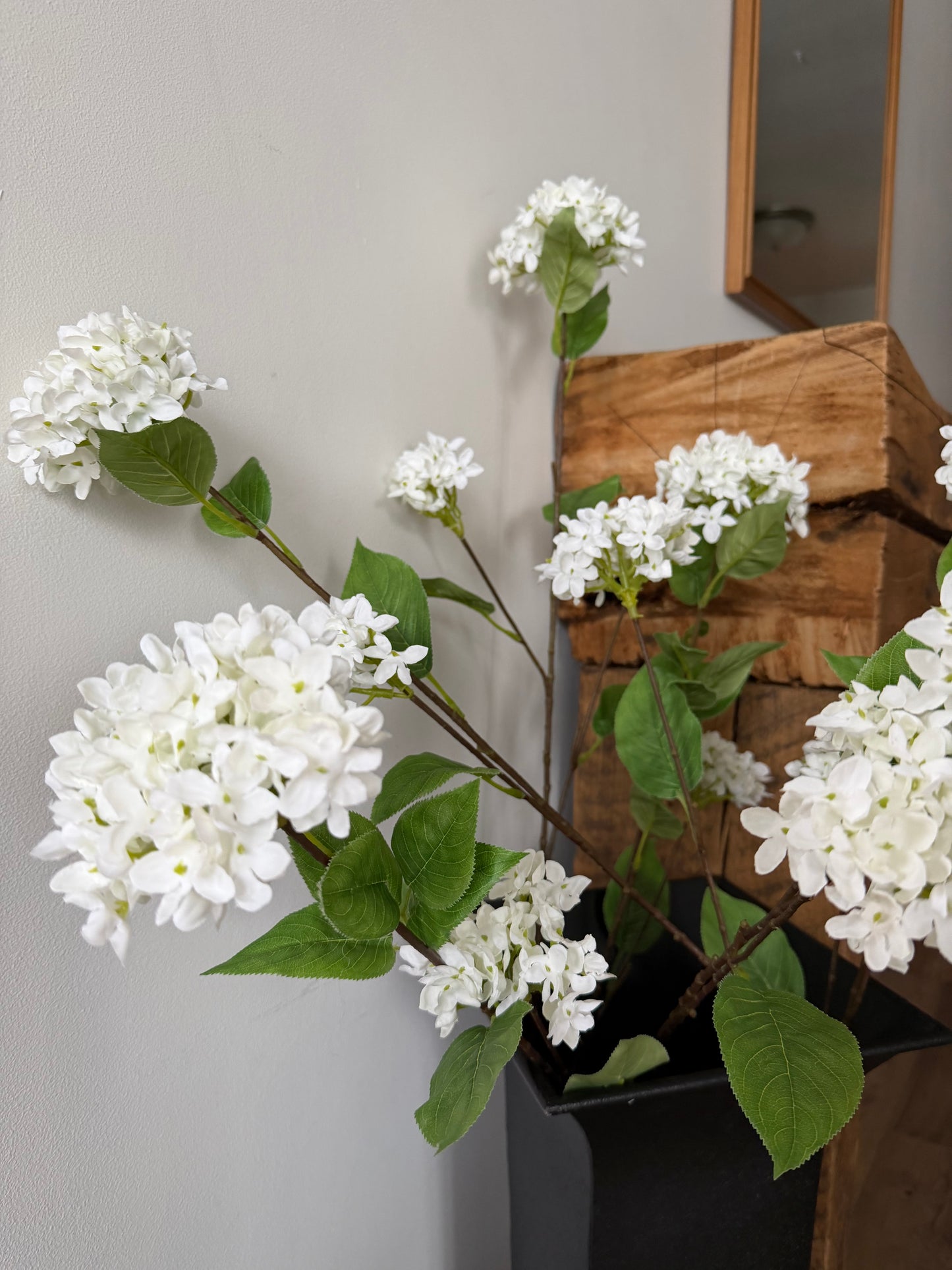 White Snowball Hydrangrea Branch