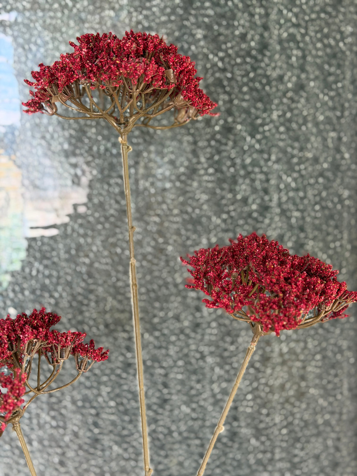 Burgundy Queen's Anne Lace Spray