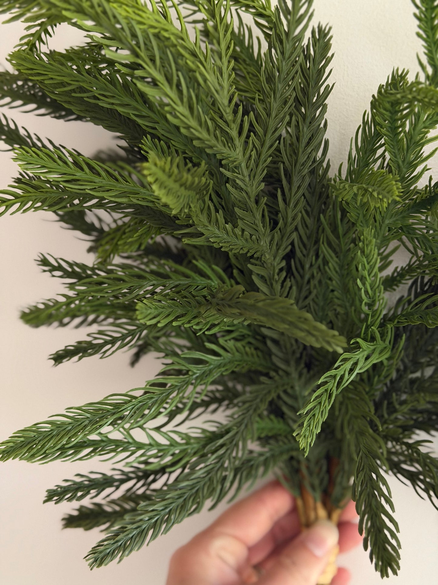 Balsam Fir Bundle