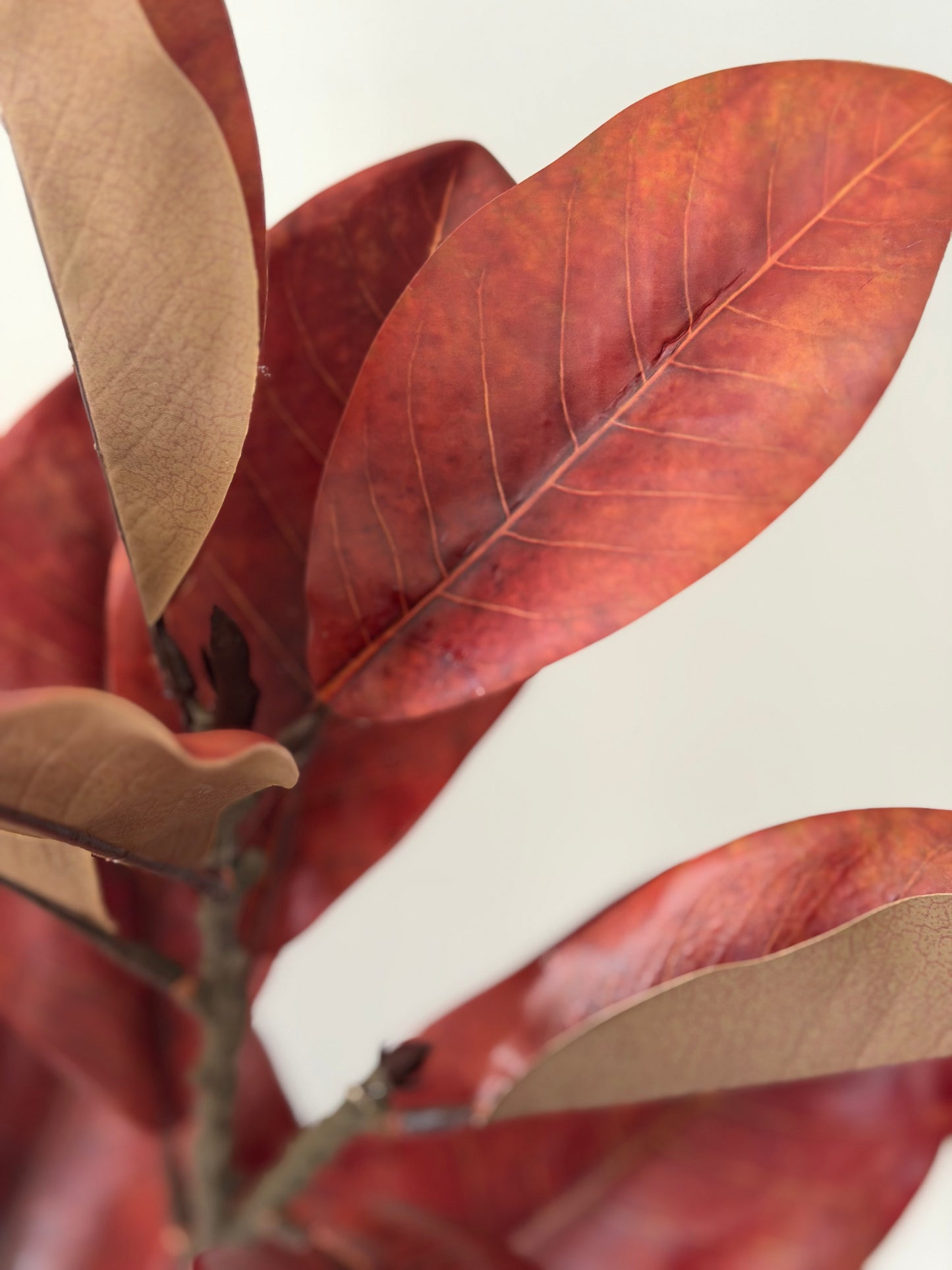Copper & Red Magnolia Leaf Spray- 45"