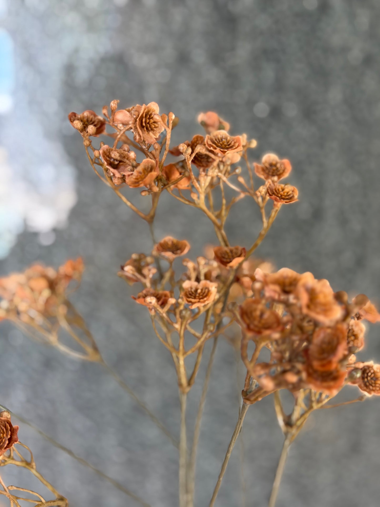 Brown Baby's Breath Spray