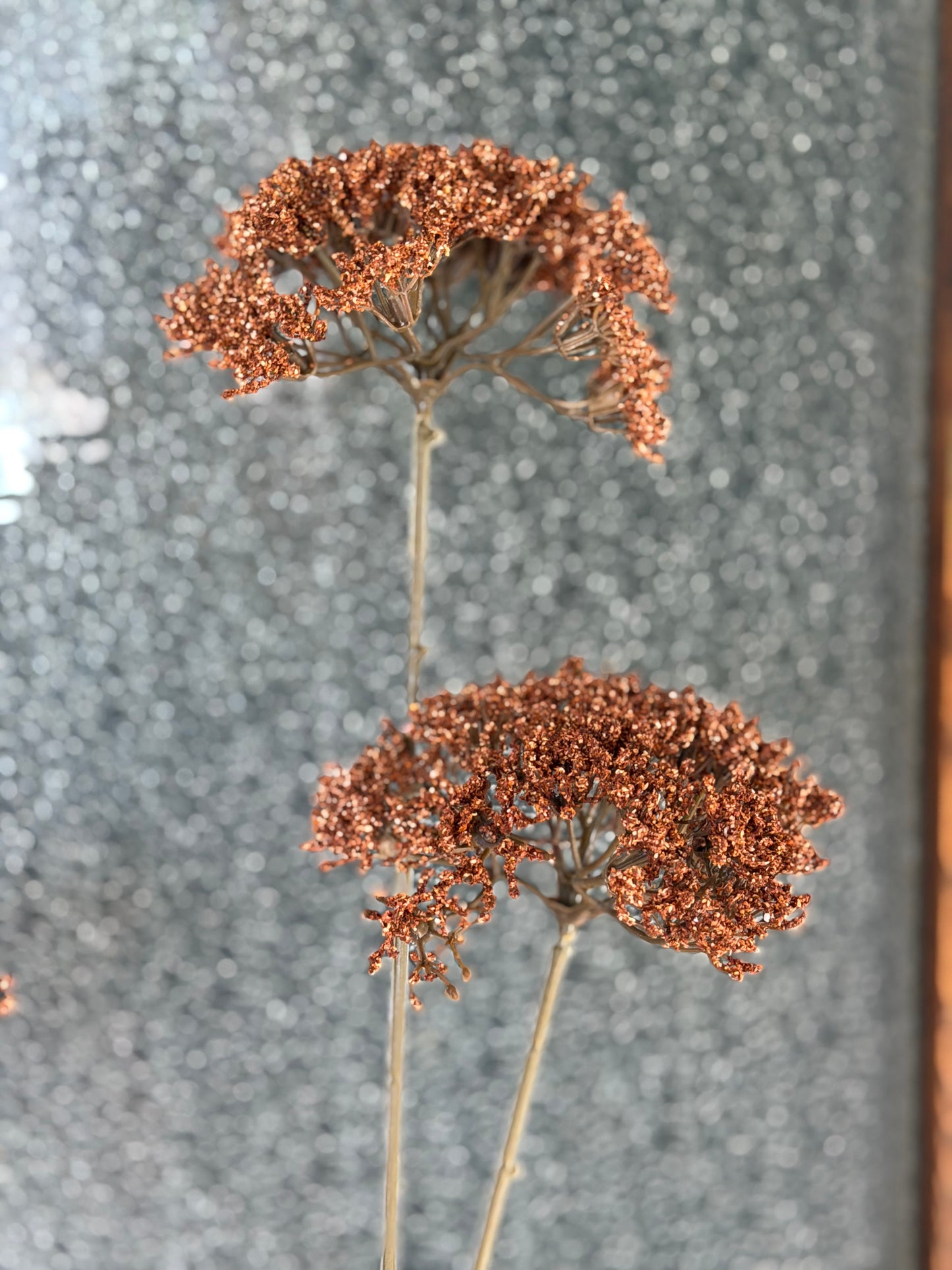 Brown Queen's Anne Lace Spray