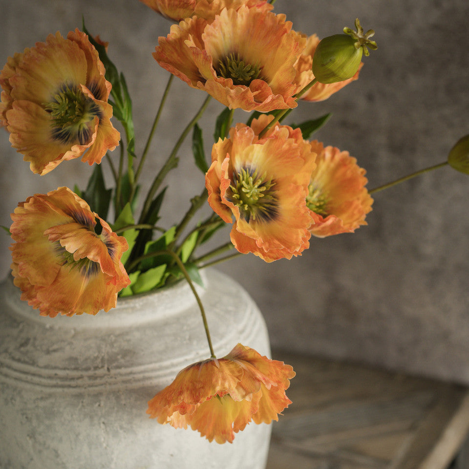 Orange Poppy Stem
