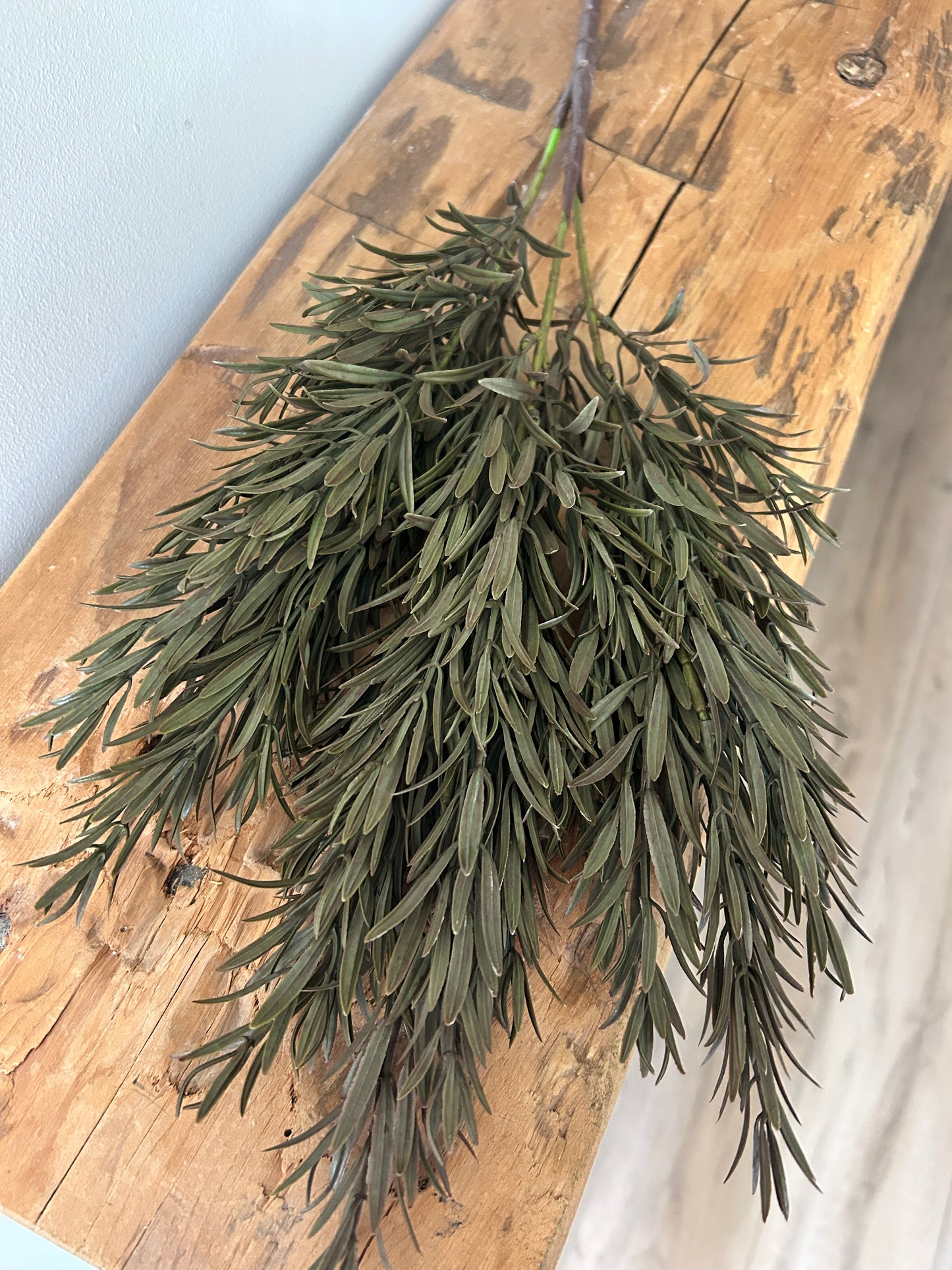Dark Green Honey Grass Spray