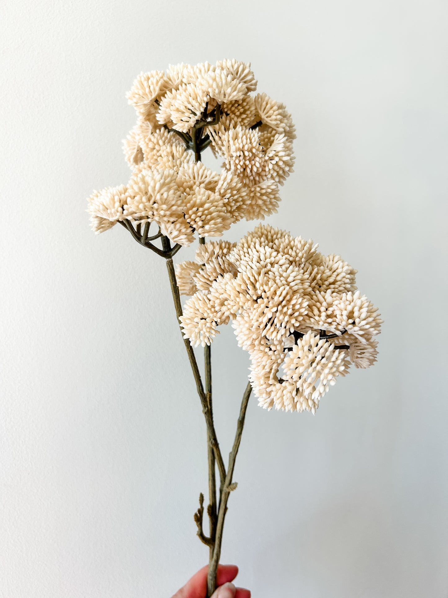 Cream Pom Pom Spray