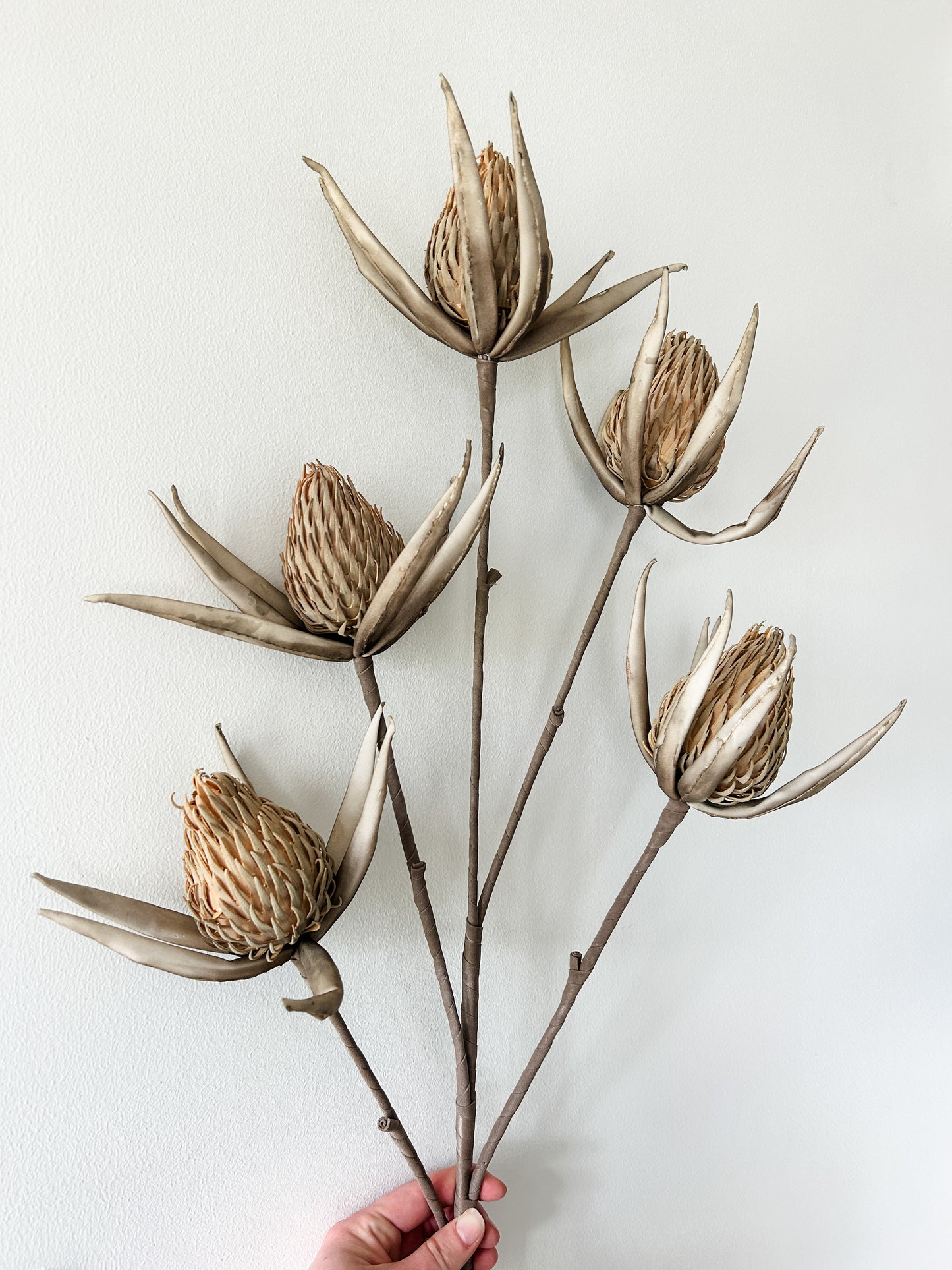 Tan & Grey Eva Bloom Spray