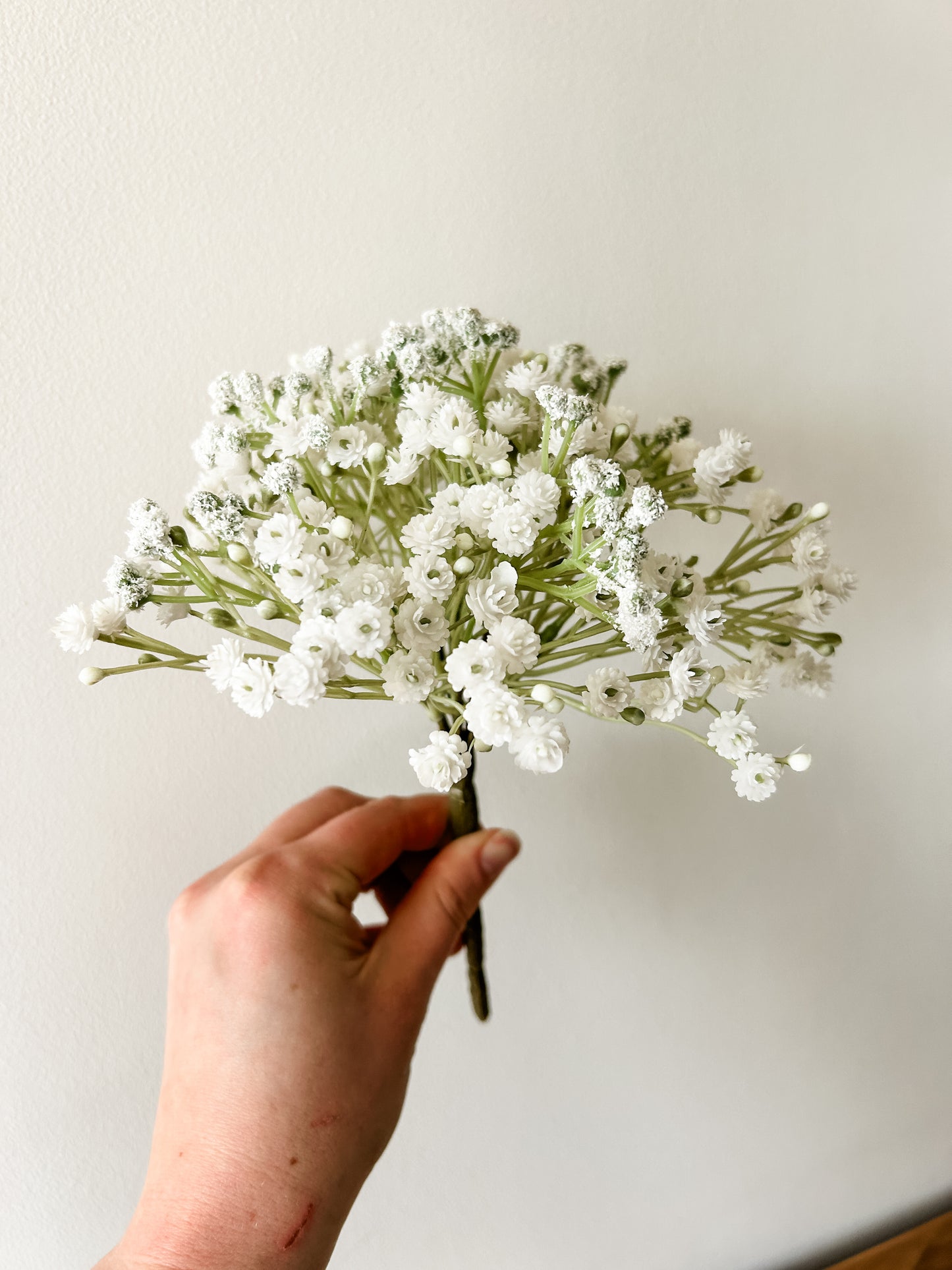 Small Baby Breath Bundle