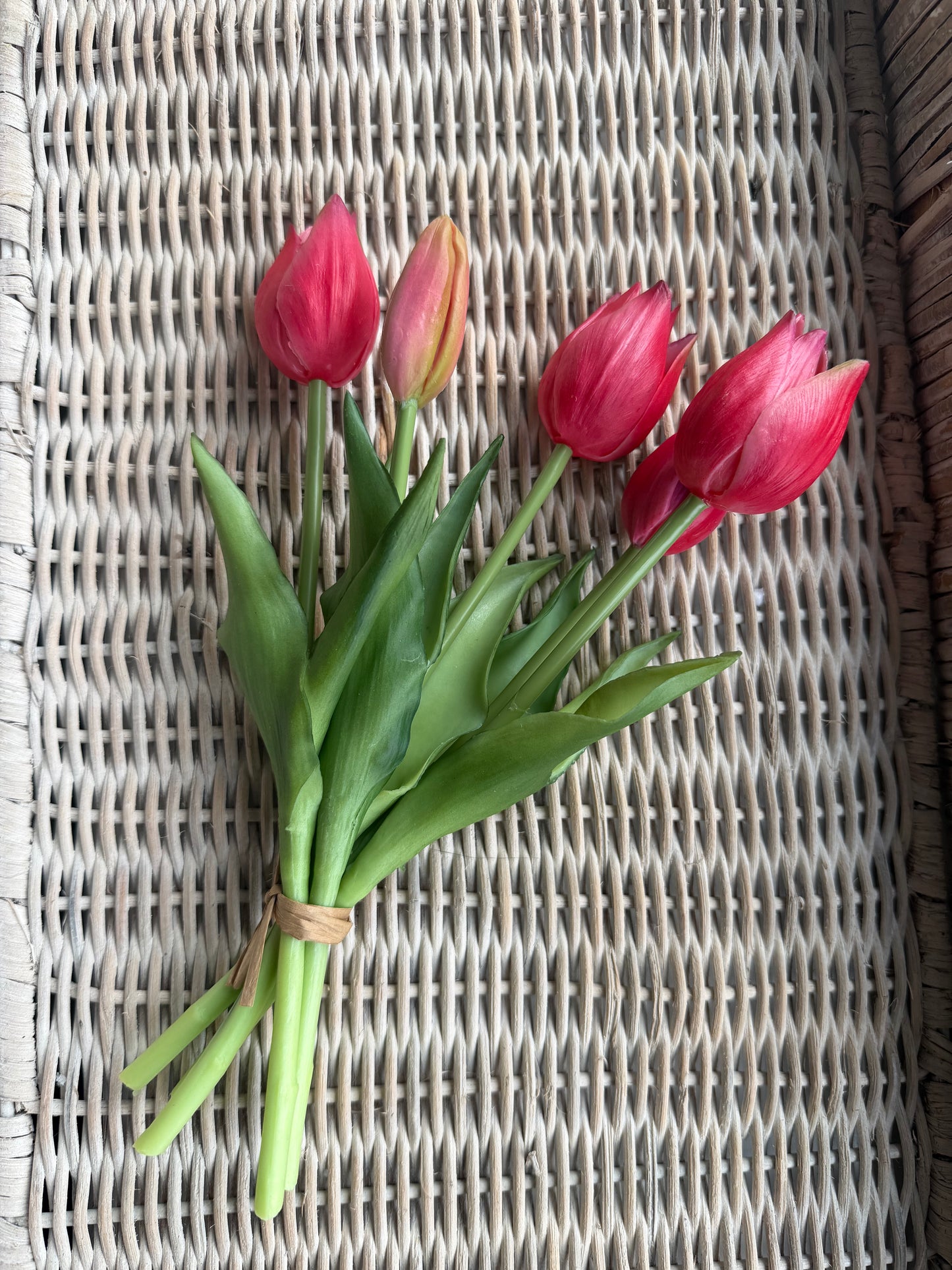 Deep Pink Mini Wild Tulip Bundle