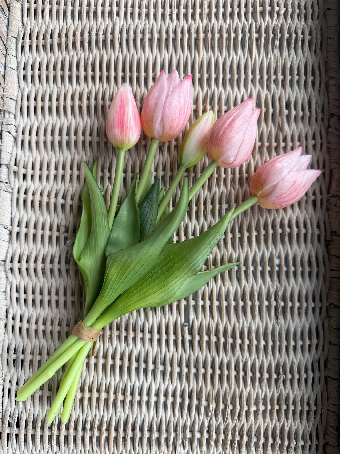 Light Pink Mini Wild Tulip Bundle