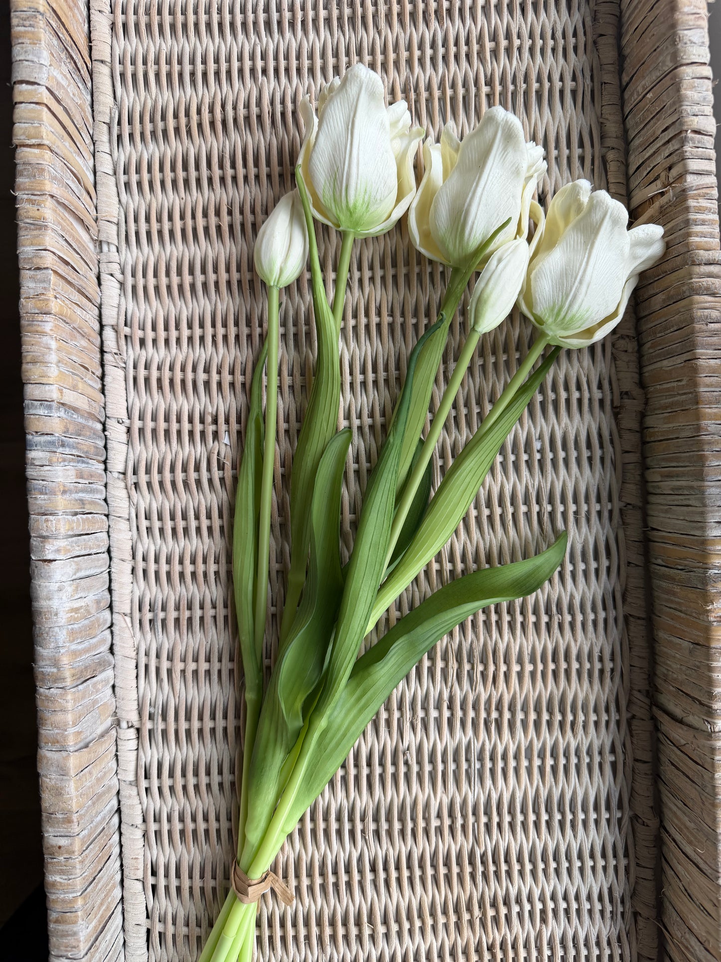 Creamy White Ruffle Parrot Tulip Bundle-18”