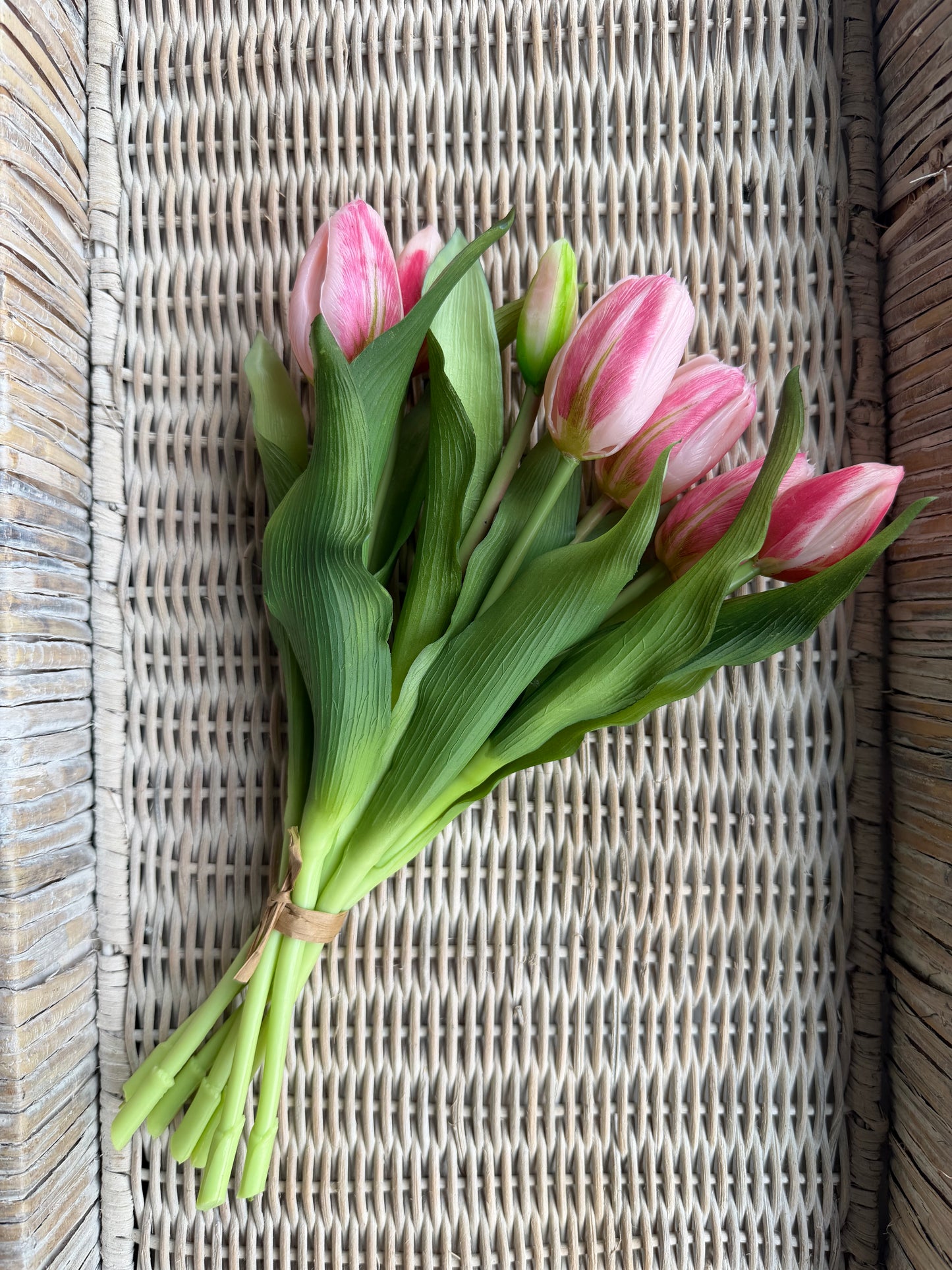 Pink Cotton Candy Formosa Tulip Bundle-12”