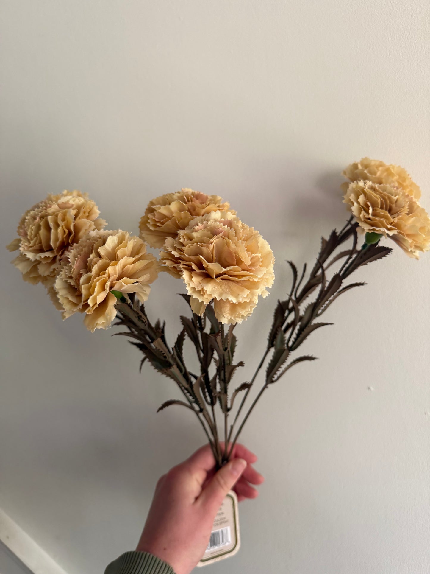Carnation Spray- Butter Cream