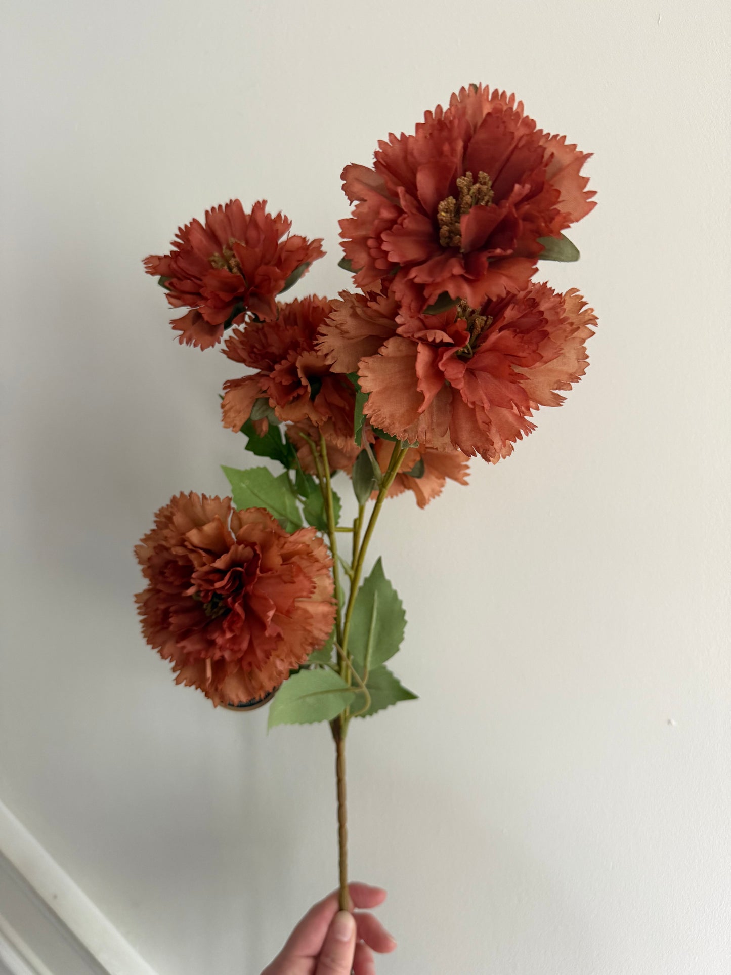 Burnt Orange Carnation Stem