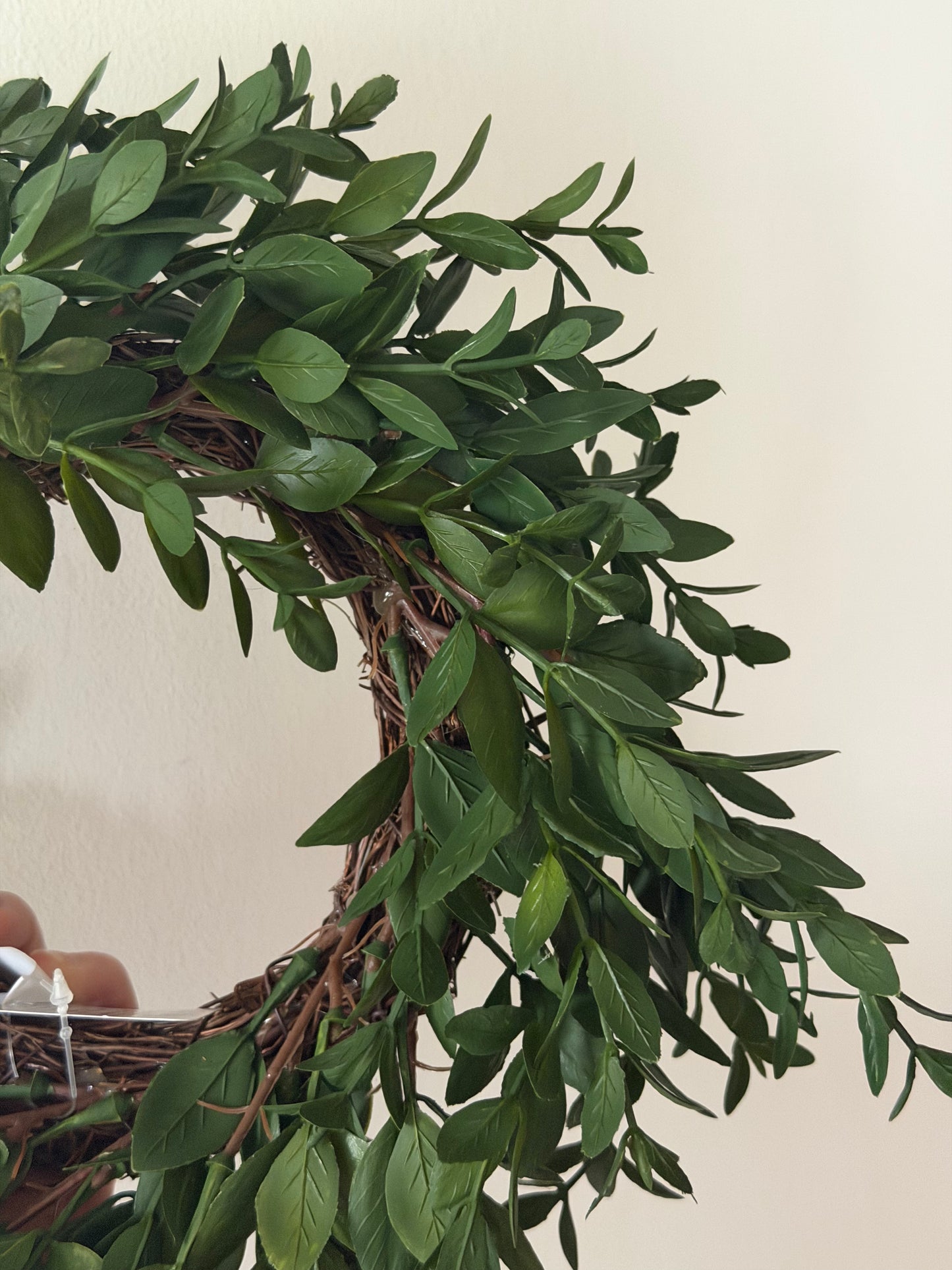 Organic Boxwood Candle Ring.Mini Wreath-10"
