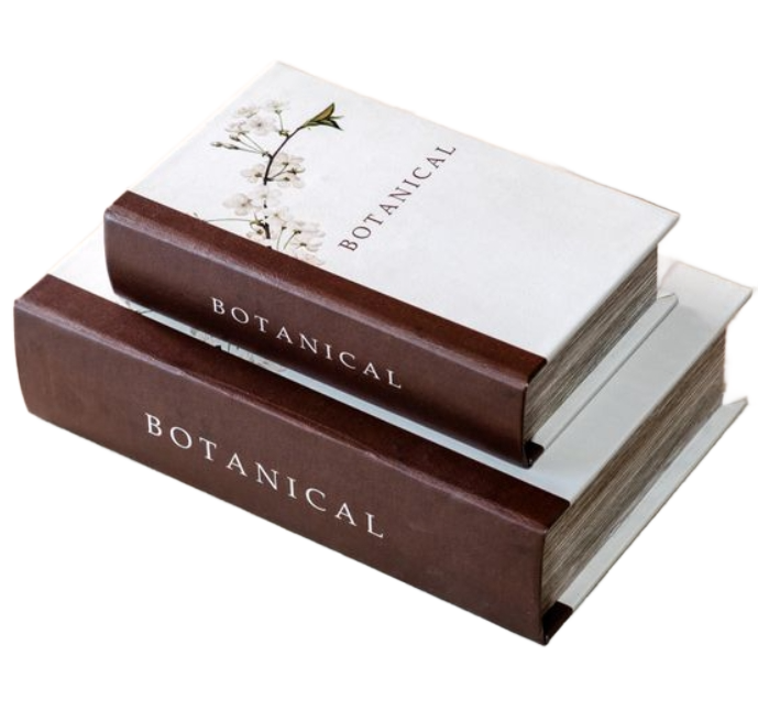 Botanical Storage Books Set of 2