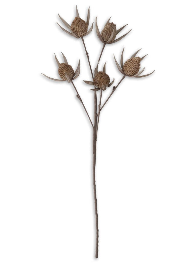 Tan & Grey Eva Bloom Spray