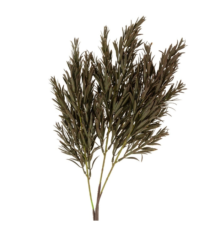 Dark Green Honey Grass Spray