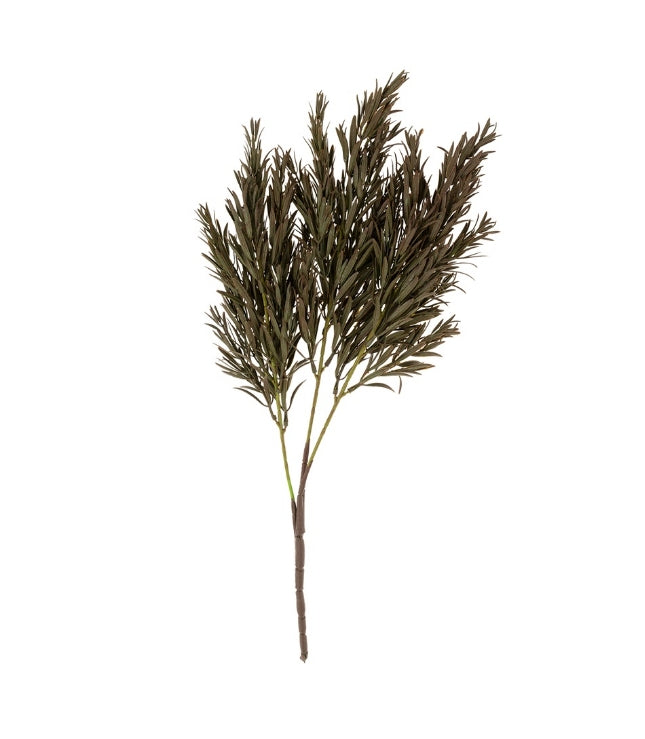 Dark Green Honey Grass Spray