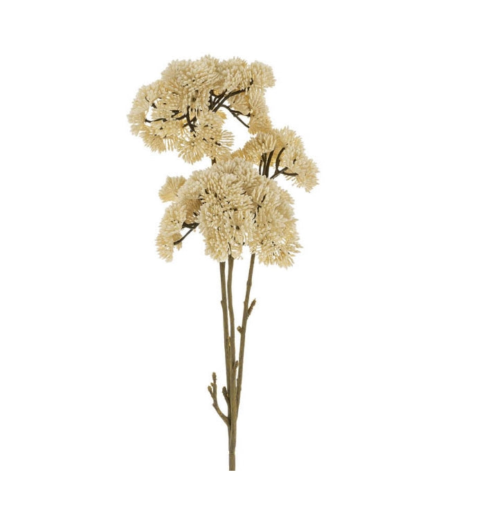 Cream Pom Pom Spray