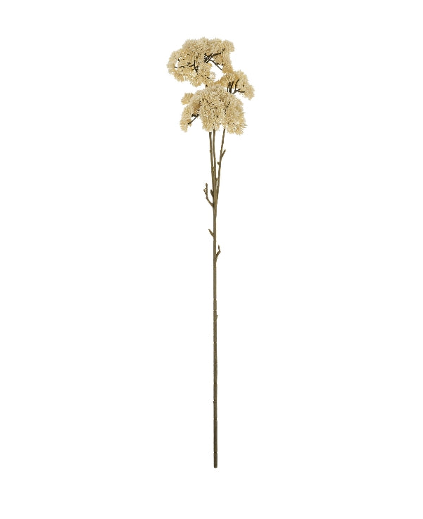 Cream Pom Pom Spray