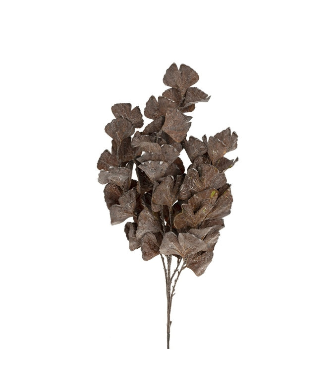 Dark Brown Purple Autumn Leaves Branch