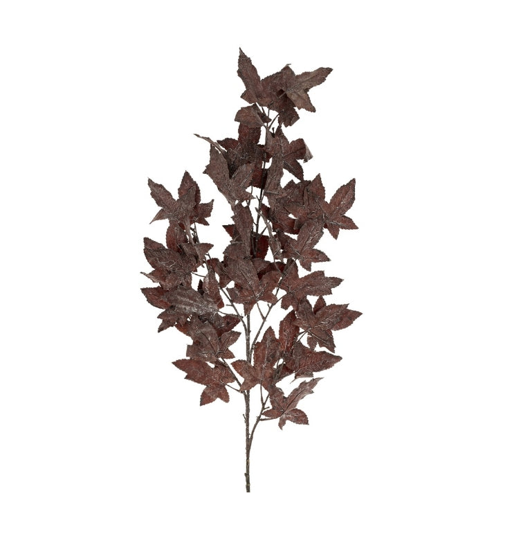Burgundy Maple Leaf Branch