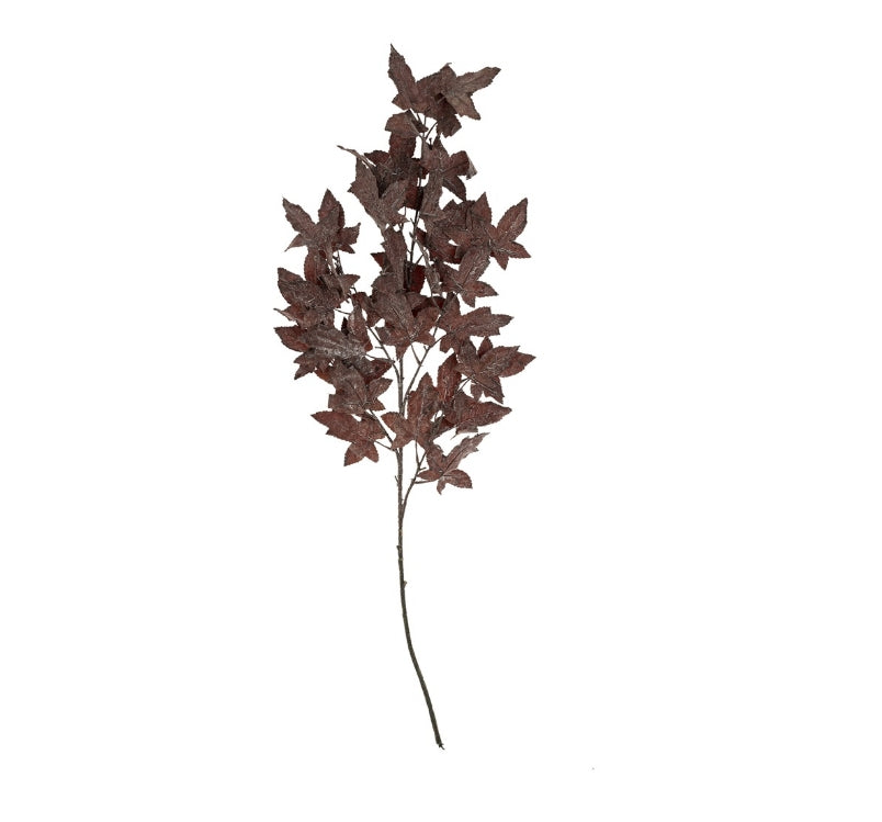 Burgundy Maple Leaf Branch