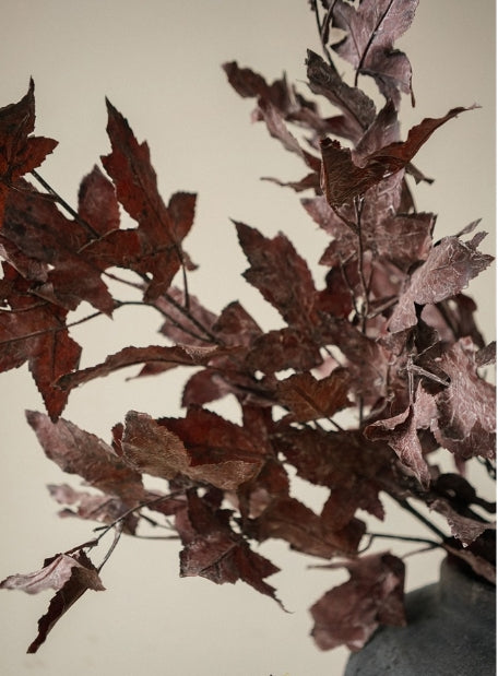 Burgundy Maple Leaf Branch