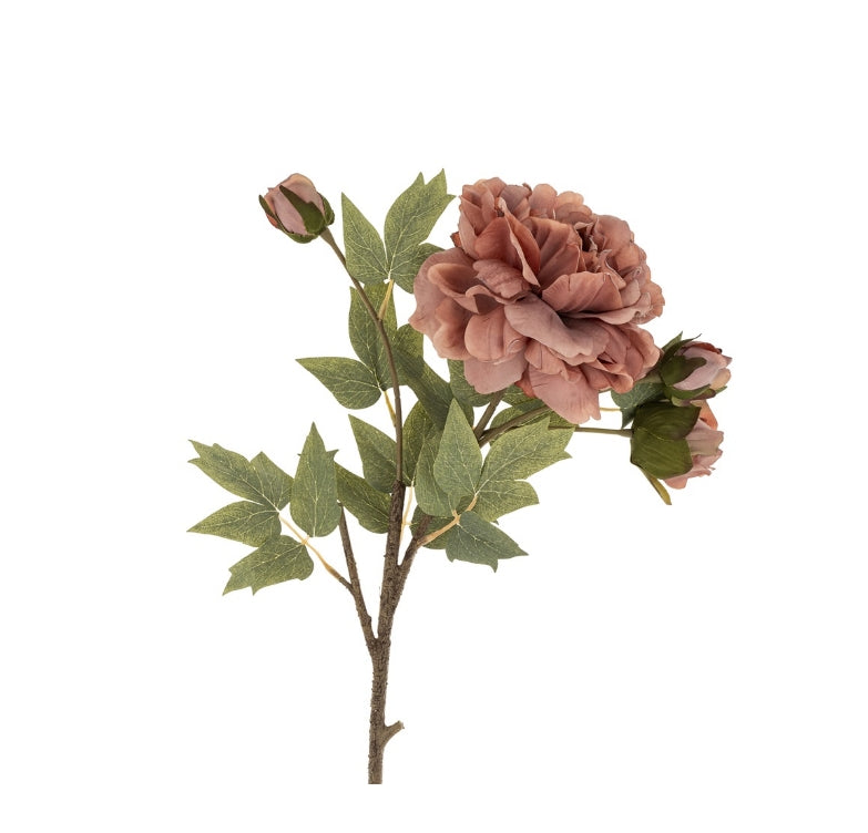 Blush Pink Peony Stem