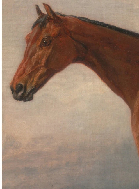 Equestrian Majesty Bronze Framed Art