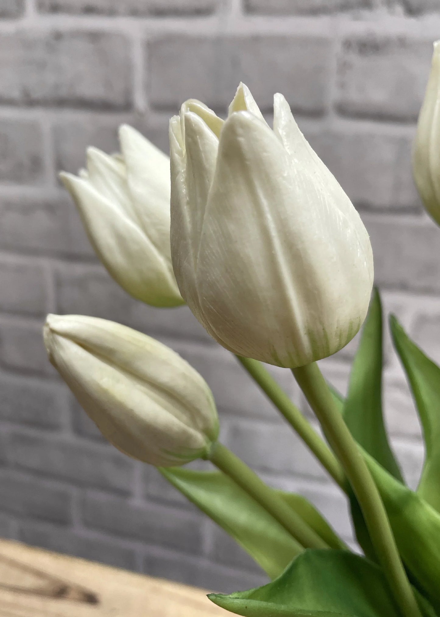 White Mini Wild Tulip Bundle