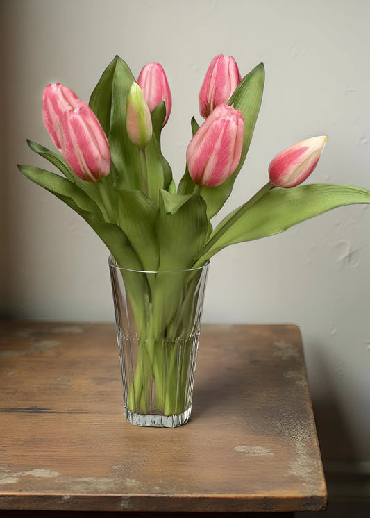 Pink Cotton Candy Formosa Tulip Bundle-12”
