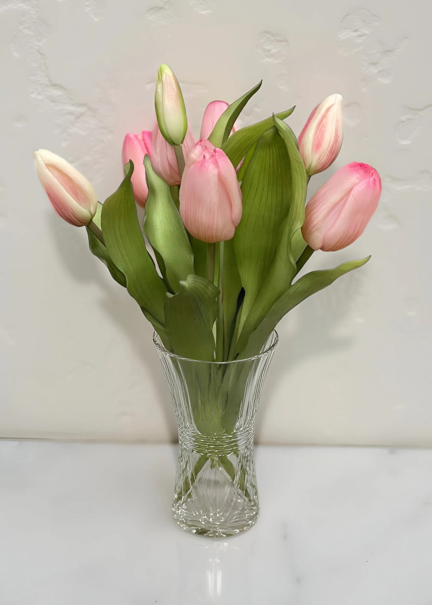 Light Pink Formosa Tulip Bundle-12”