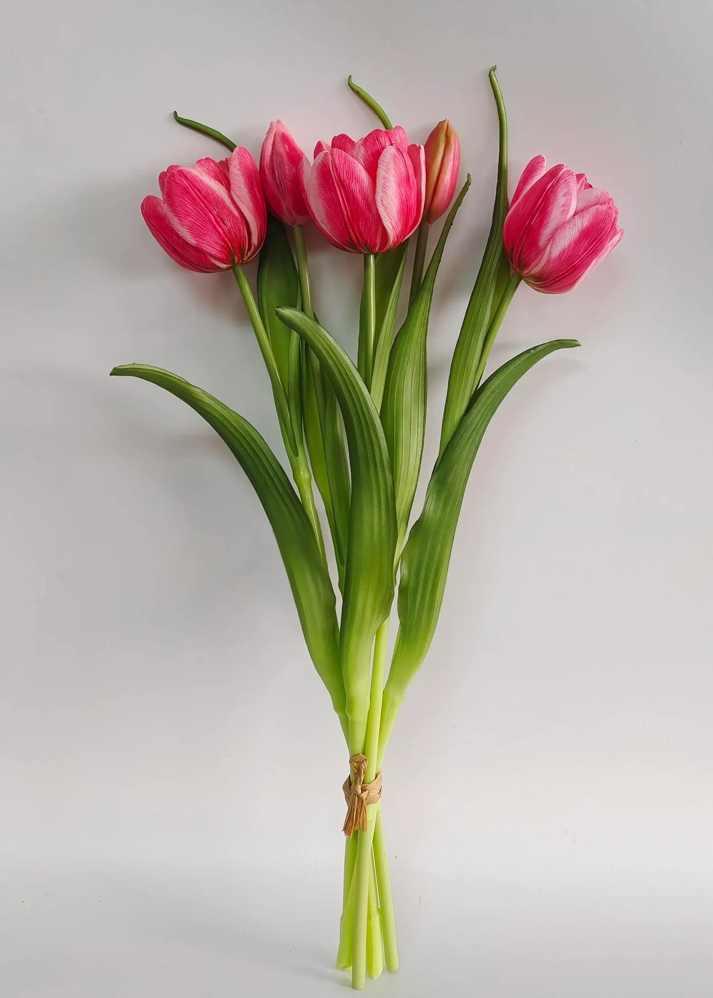 Deep Pink Two Tone Double Late Tulip Bundle-16.5”